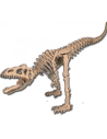 Allosaurus