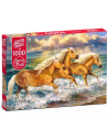 Caballos junto al mar